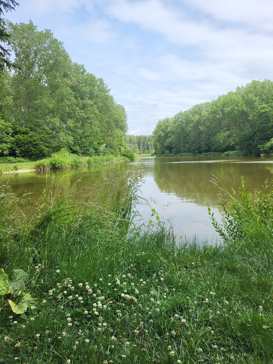 Photo de A C DU BOIS DES FORTS