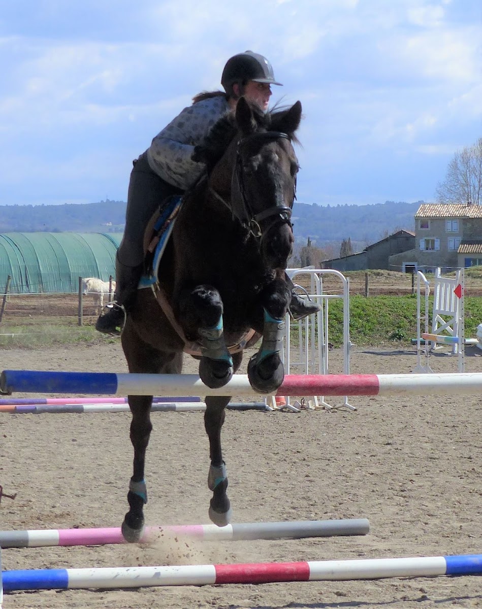 Photo de A LURE A CHEVAL