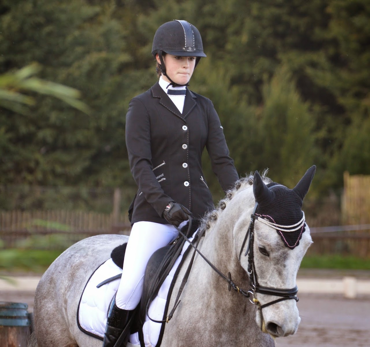 Photo de ADEZIERE EQUITATION
