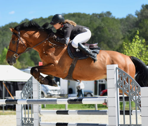 Photo de AS DU CENTRE EQUESTRE DIGNE LES BAINS