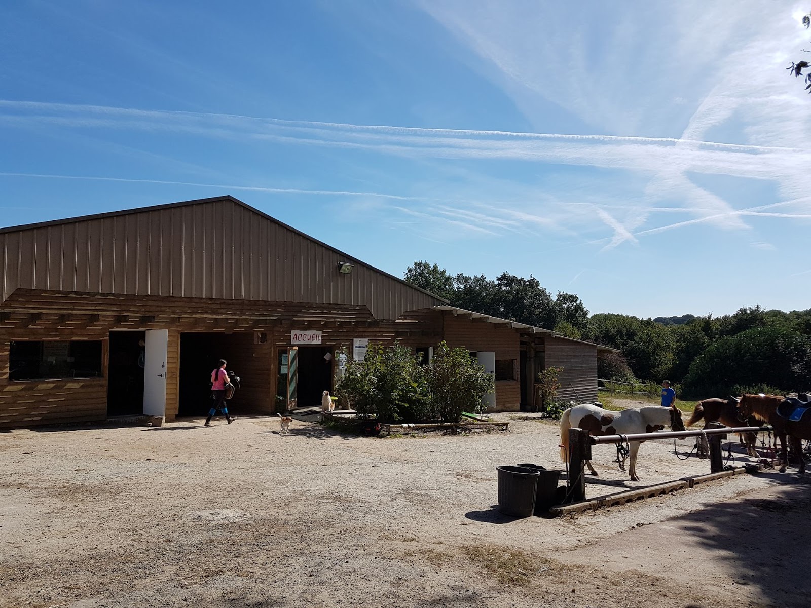 Photo de ASSO CLE LA CLE DES LOISIRS EQUESTRES