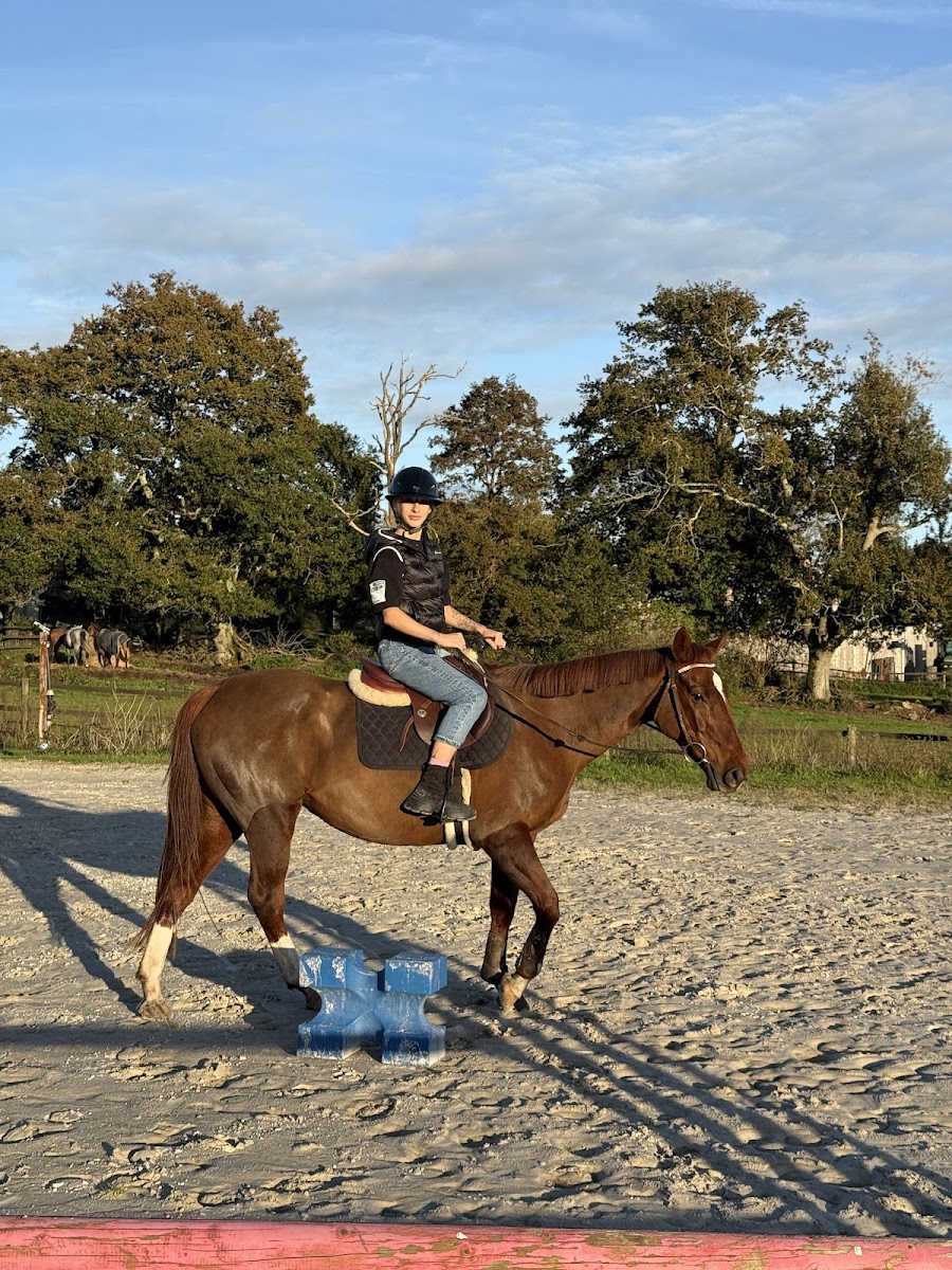 Photo de ASSO DES ECURIES LAOUEN