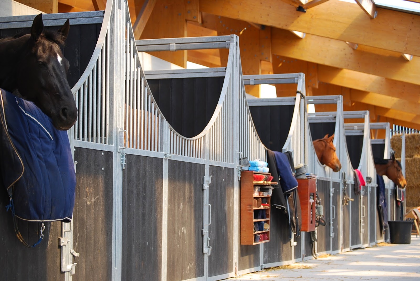 Photo de ASSO DU HARAS DE L ERMITAGE