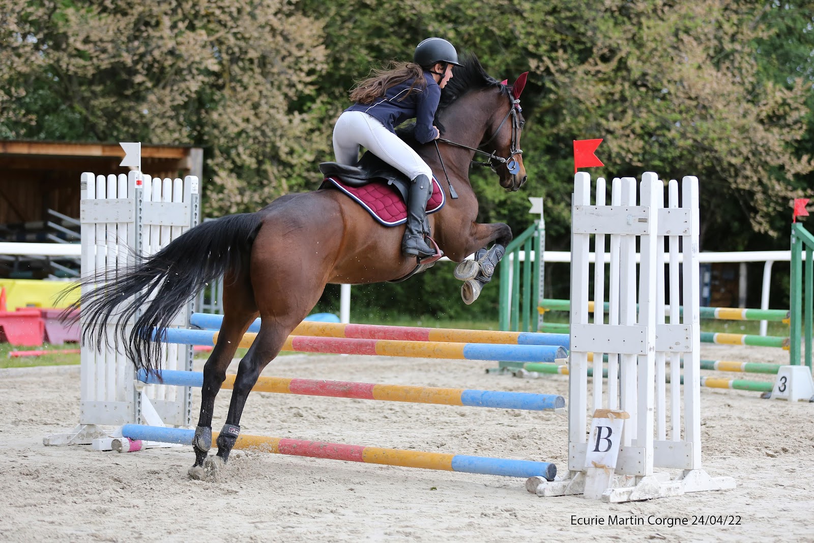 Photo de ASSO SPORTIVE EQUESTRE DE MEDAGUES