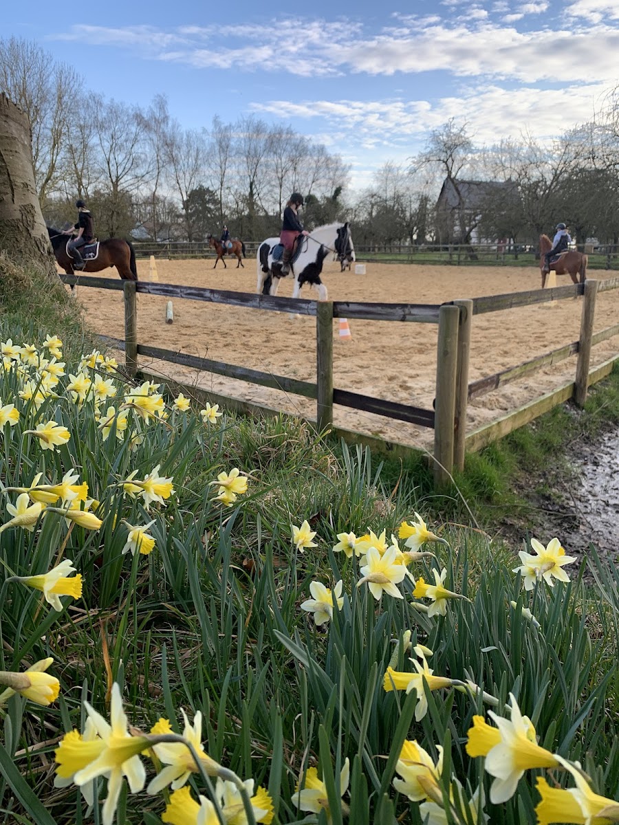 Photo de ASSOCIATION DU PETIT TORCY