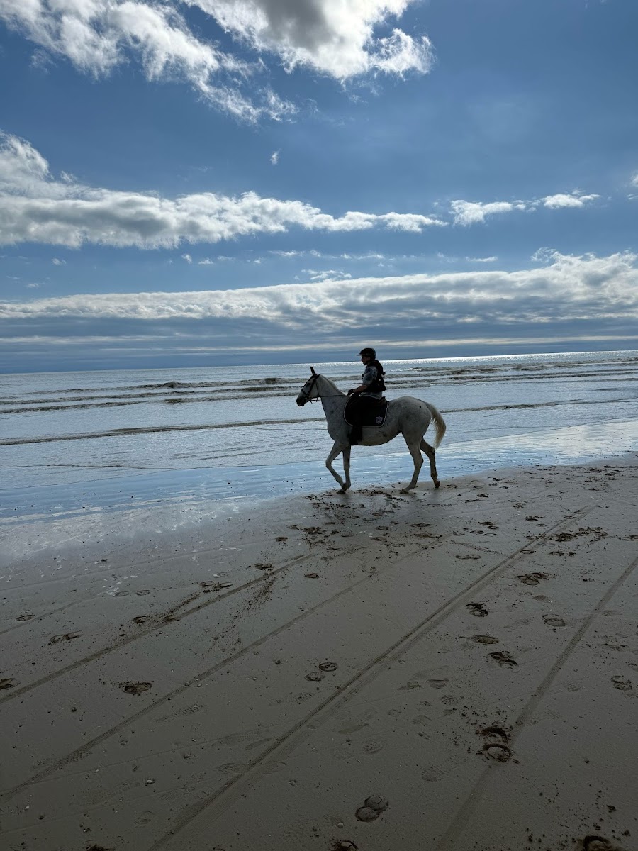 Photo de ASSOCIATION DU PONEY CLUB DE JULIE