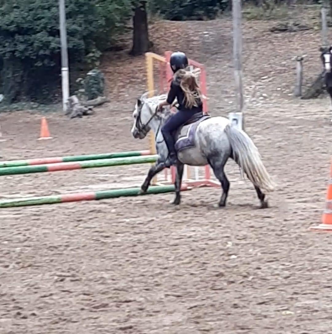 Photo de ASSOCIATION EQUIPASSION