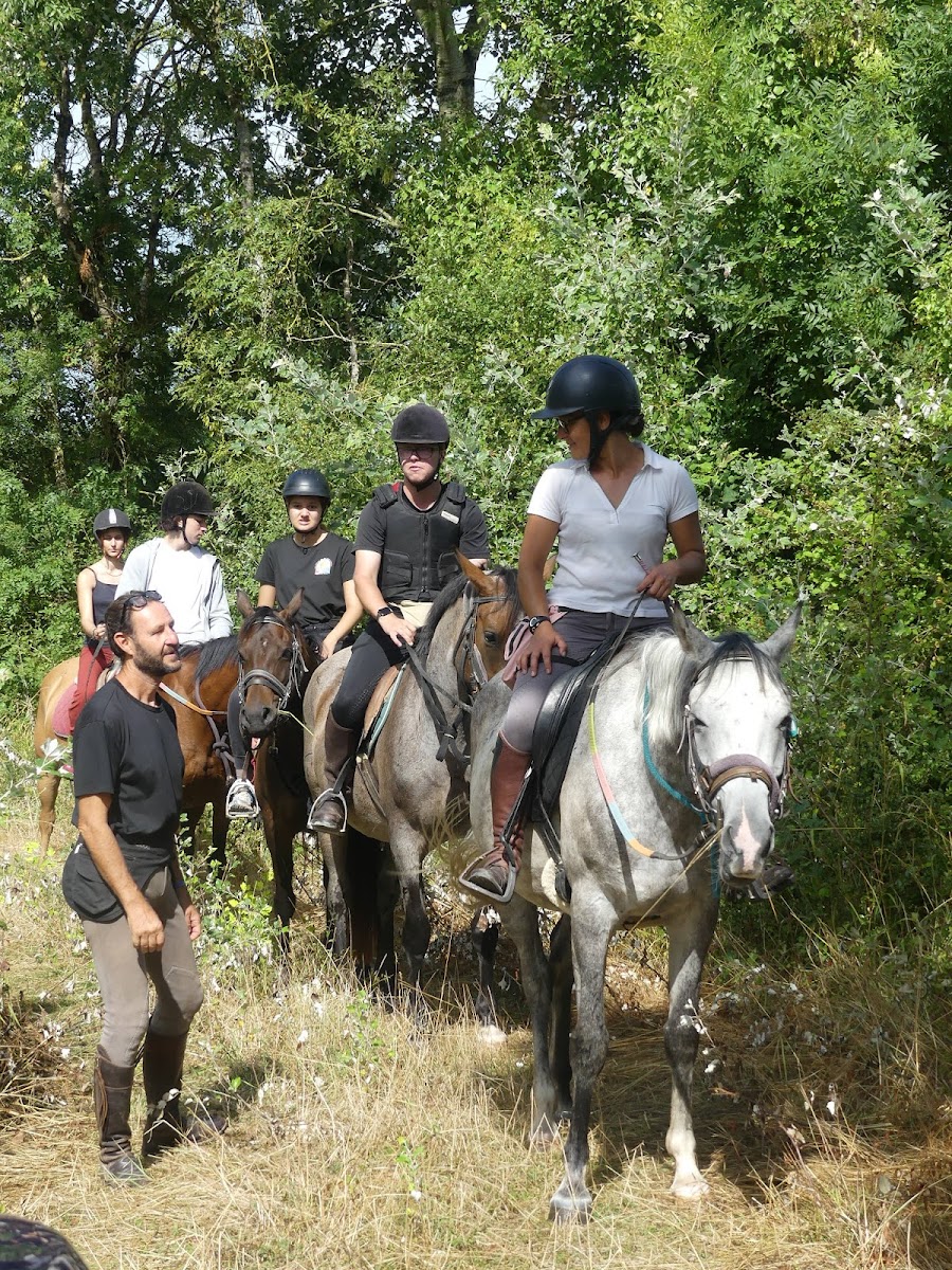 Photo de ASSOCIATION MARAIS EN SELLE