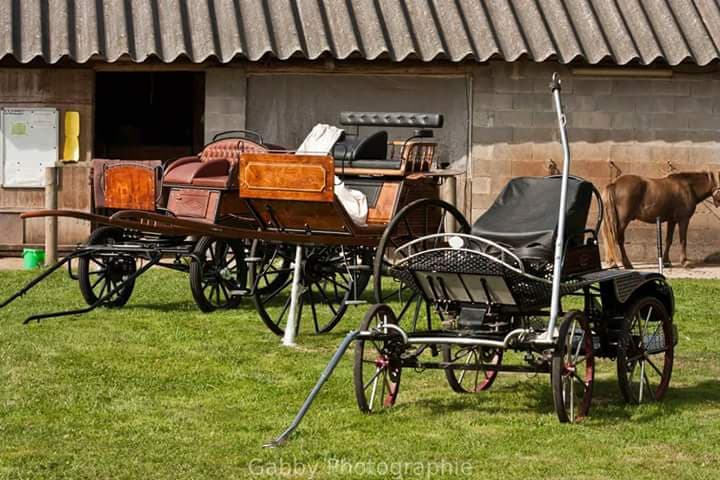 Photo de ATTELAGE DES CHAMPS DU MOTEY