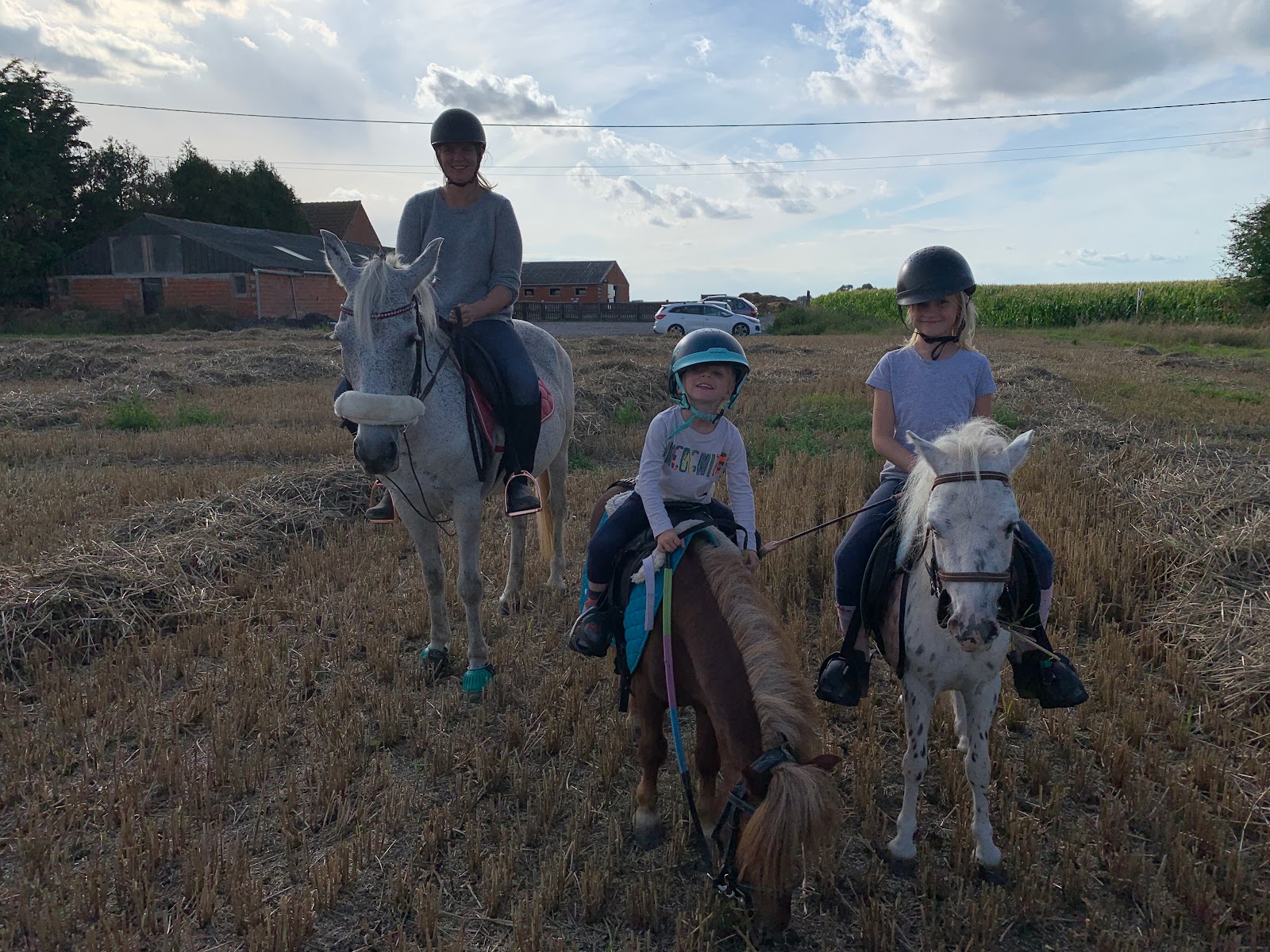 Photo de AUX PETITS PONEYS DE ZERMEZEELE