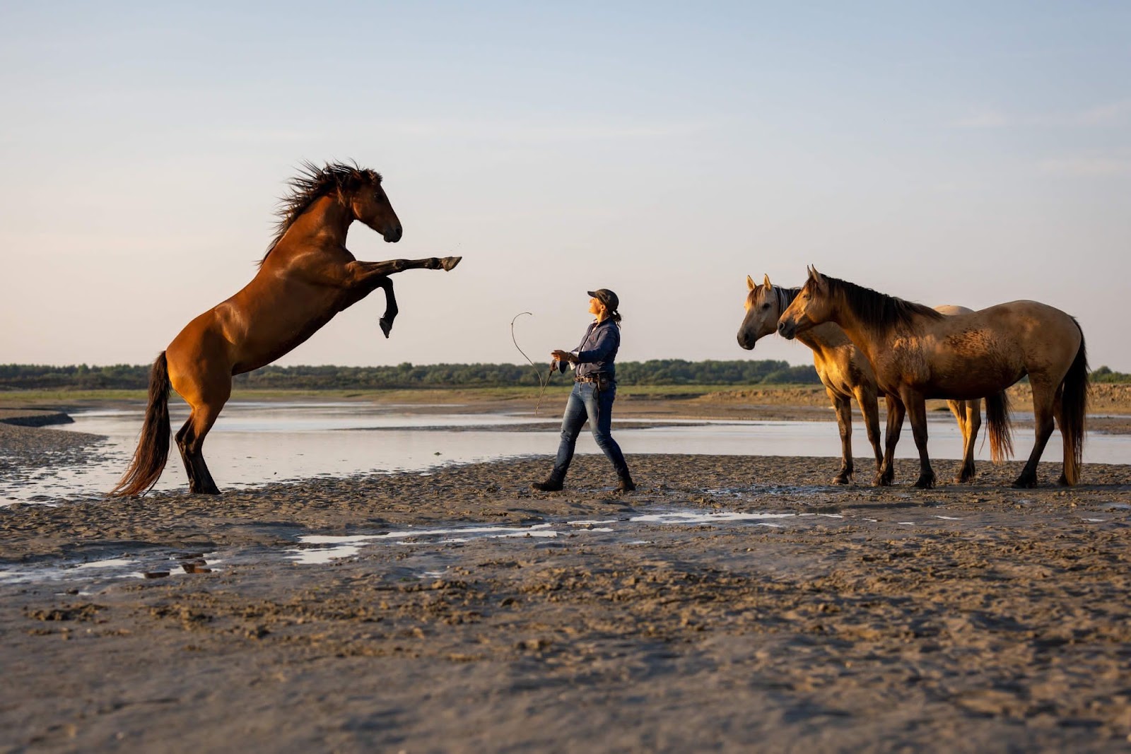 Photo de AVENTURE EQUESTRE BAIE DE SOMME