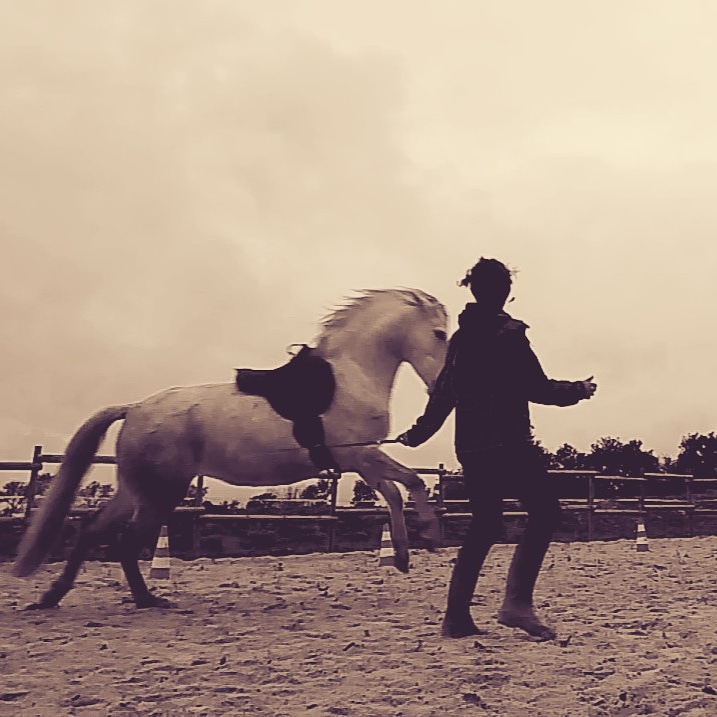 Photo de BALLADE DES SENS