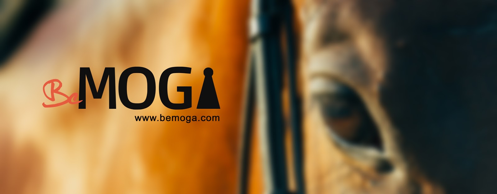 Photo de BEMOGA