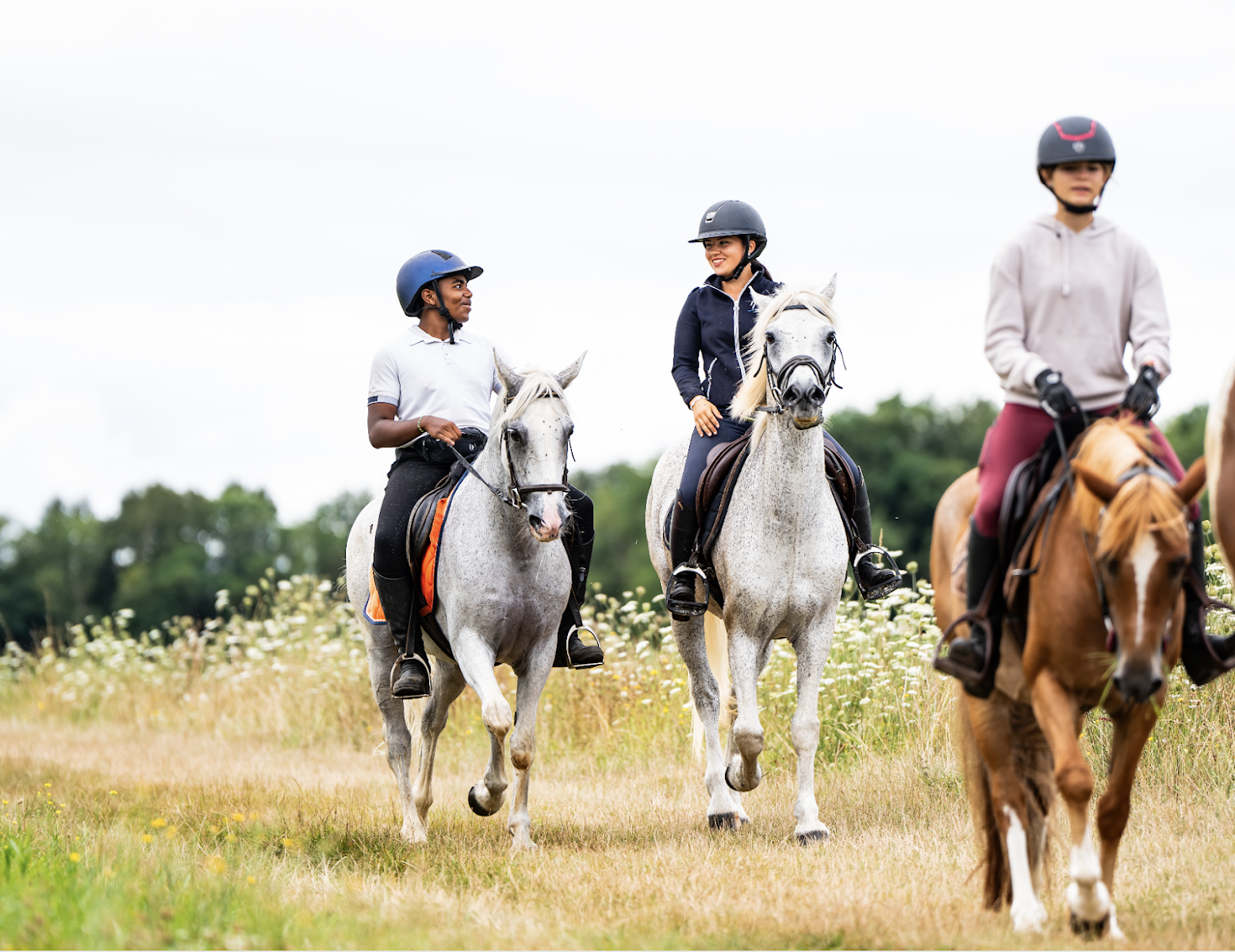 Photo de BRISAC EQUITEAM