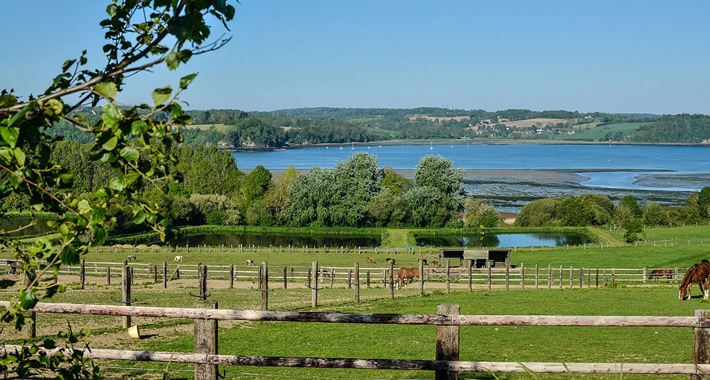 Photo de C E ECURIES DES PERRIERES