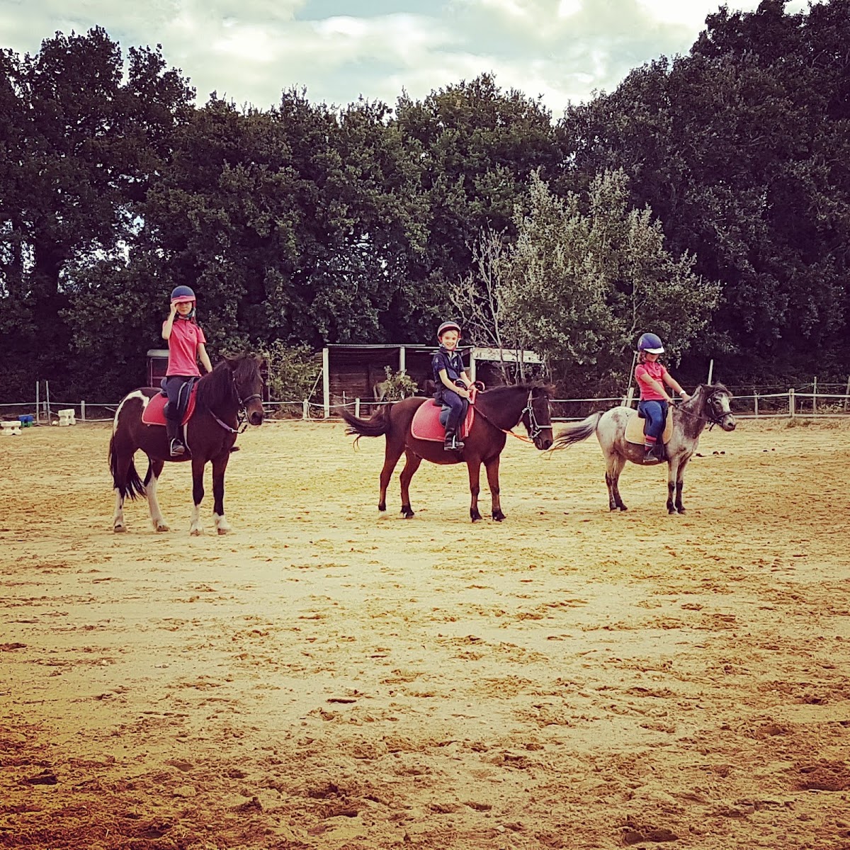 Photo de C E ET P C DU PHOENIX
