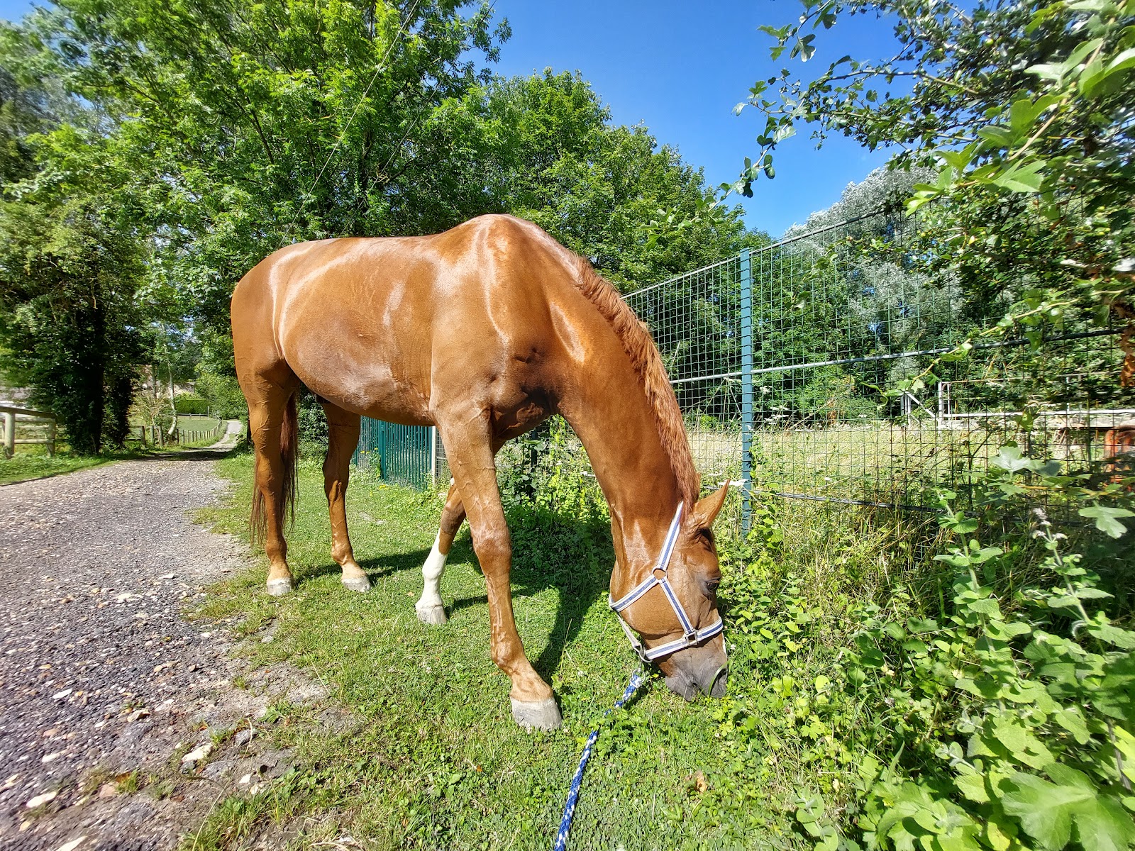 Photo de C E LA CAVALE SARL