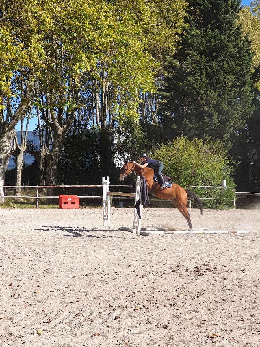 Photo de C E LE PARC