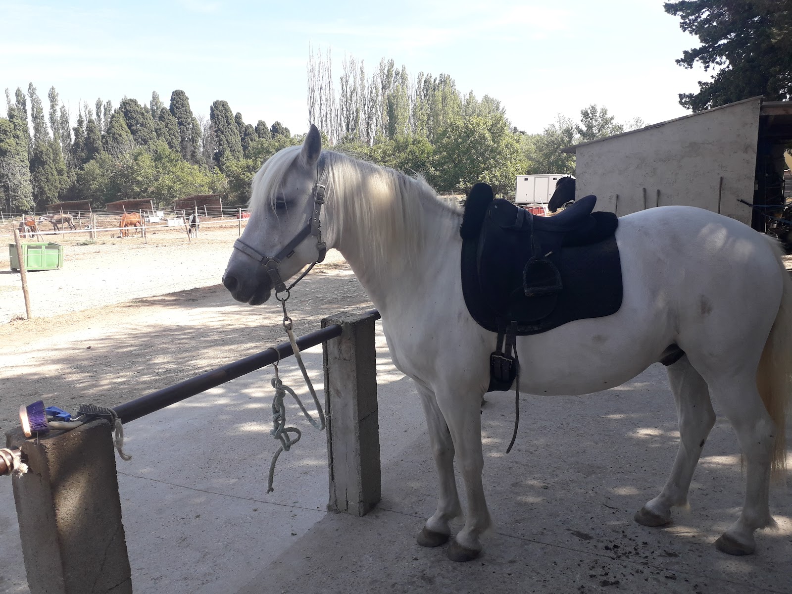 Photo de C E LES COUROULUS