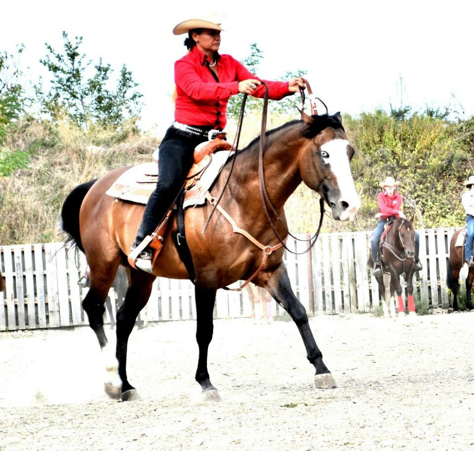 Photo de C M W RANCH
