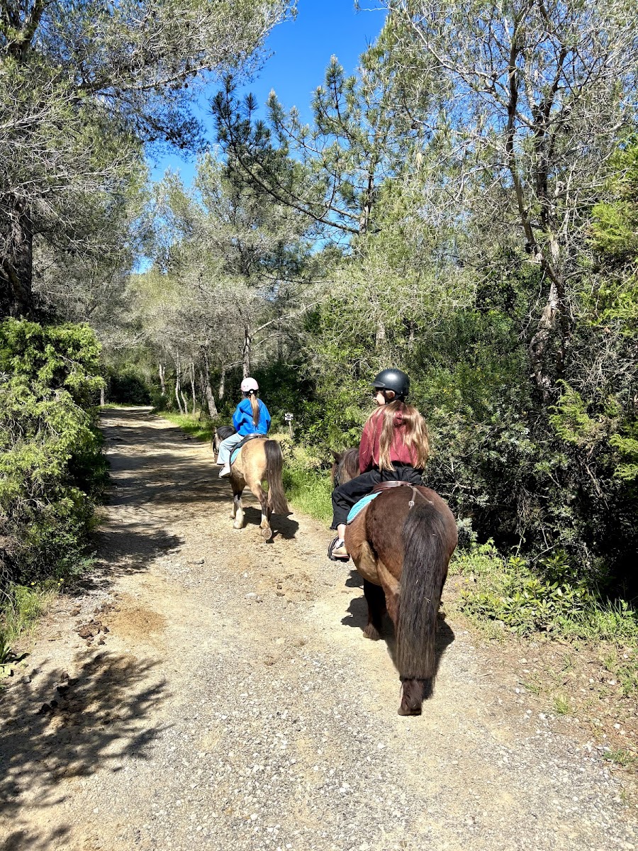 Photo de CAVALAIRE EQUITATION