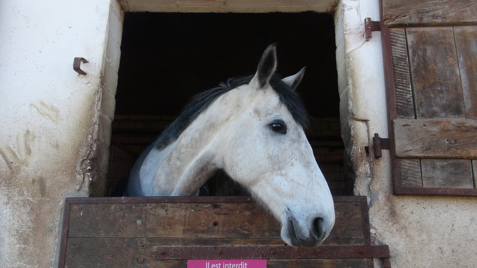 Photo de CAVALIERS DE BIRLENBACH