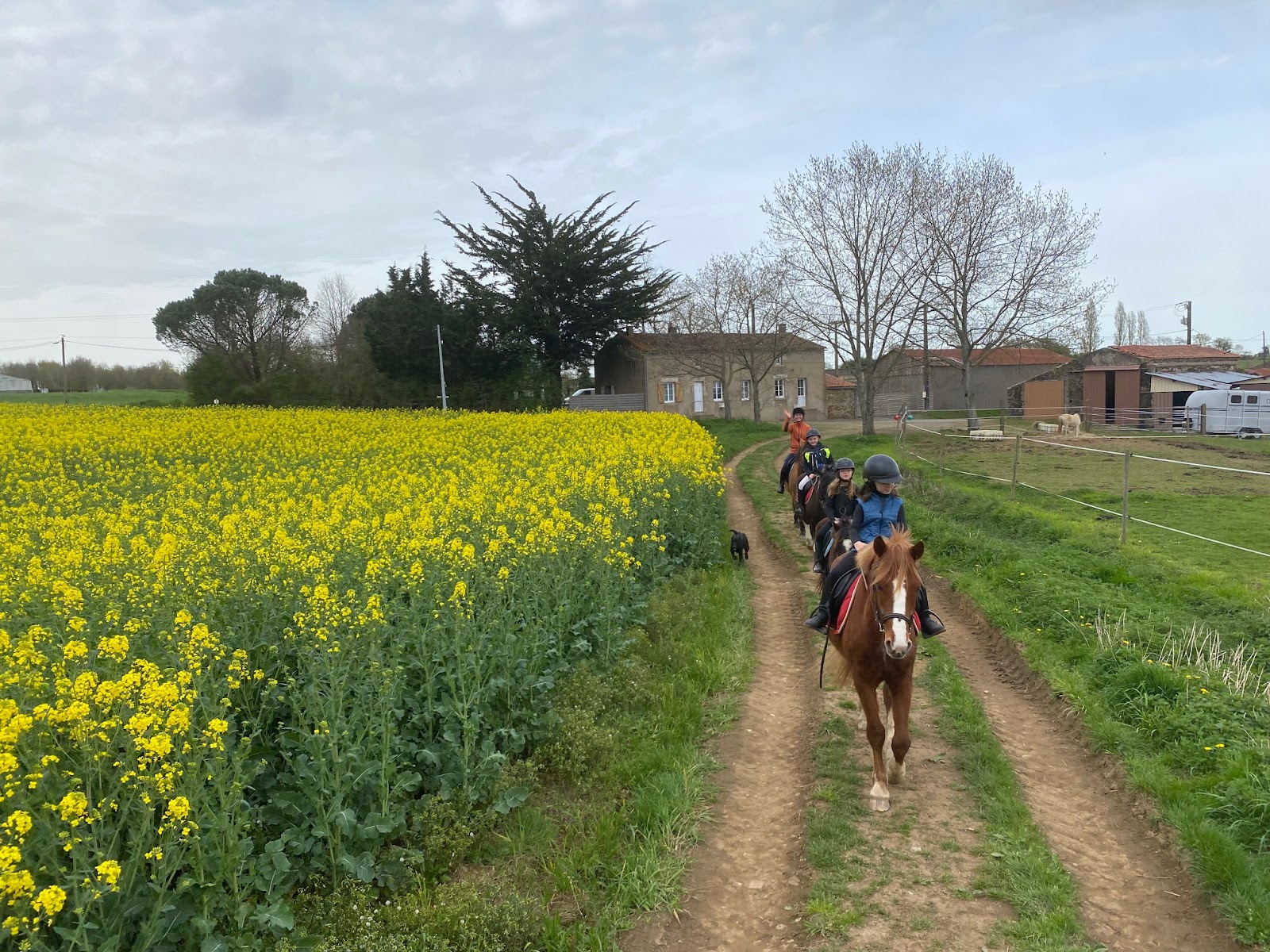 Photo de CE ET PONEY CLUB DE LA RIVIERE