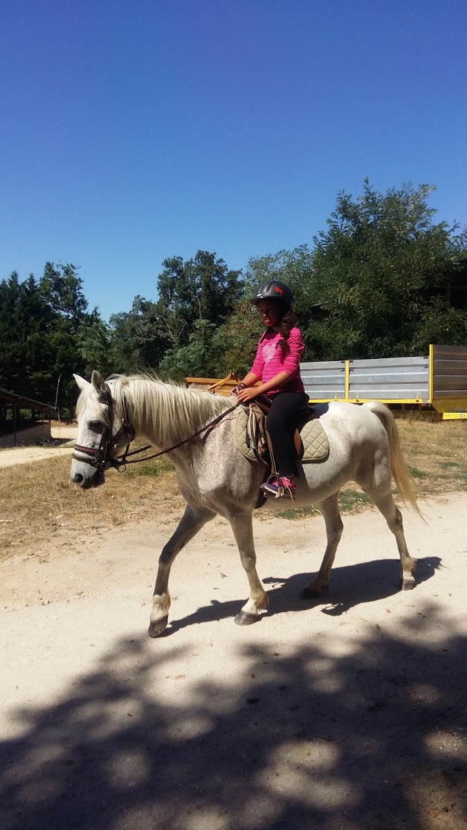 Photo de CENTRE CHEVAL PONEY
