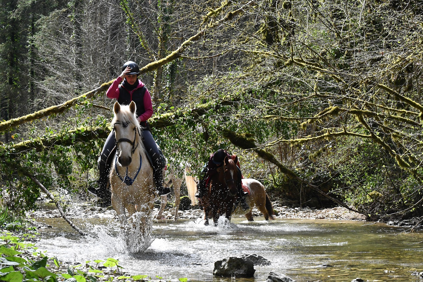 Photo de CENTRE DE NIELLANS
