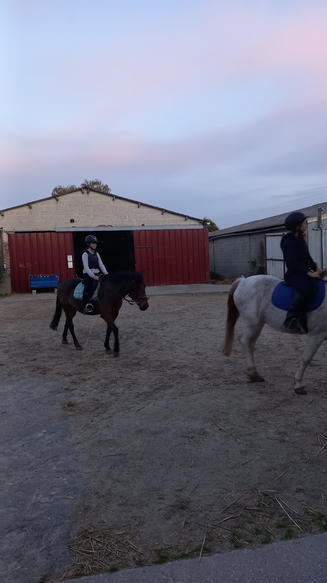 Photo de CENTRE EQUESTRE ARCHE EQUILOISIRS