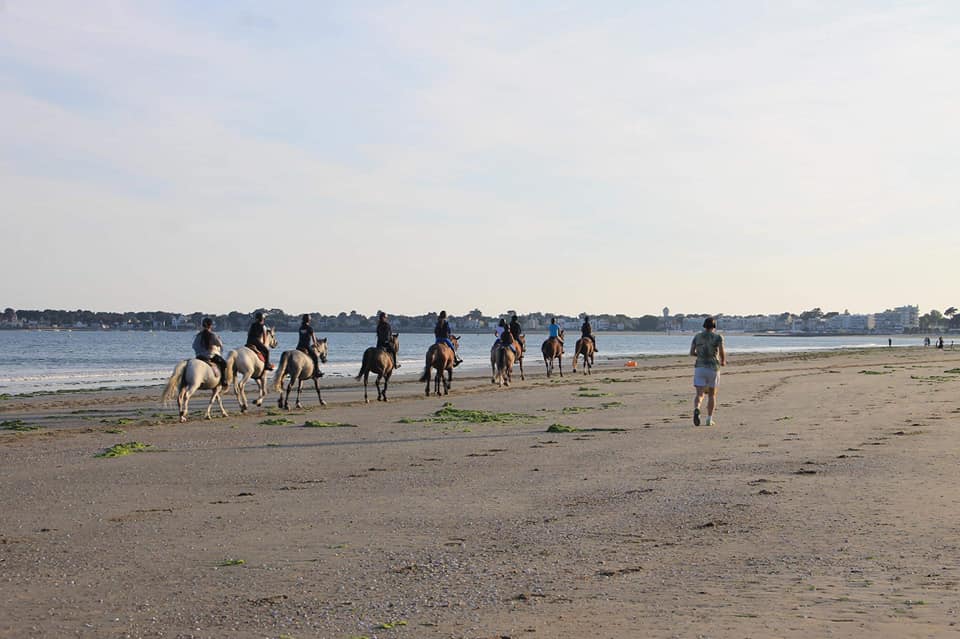 Photo de CENTRE EQUESTRE BAULOIS