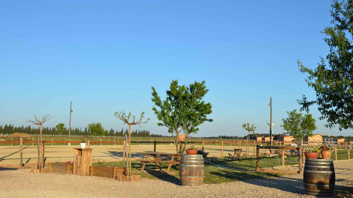 Photo de CENTRE EQUESTRE CARPE DIEM