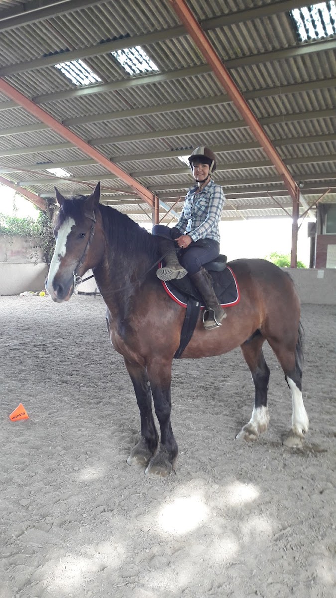 Photo de CENTRE EQUESTRE D AUBAREDE