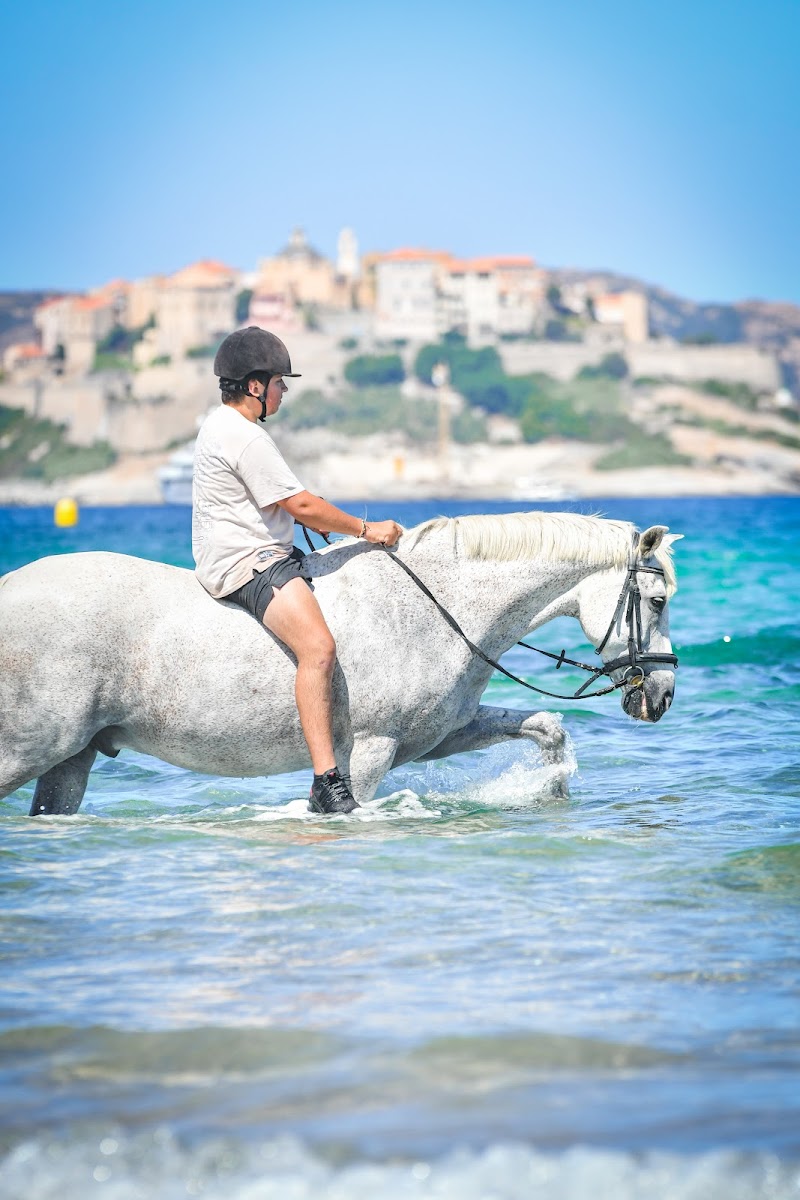 Photo de CENTRE EQUESTRE DE BALAGNE