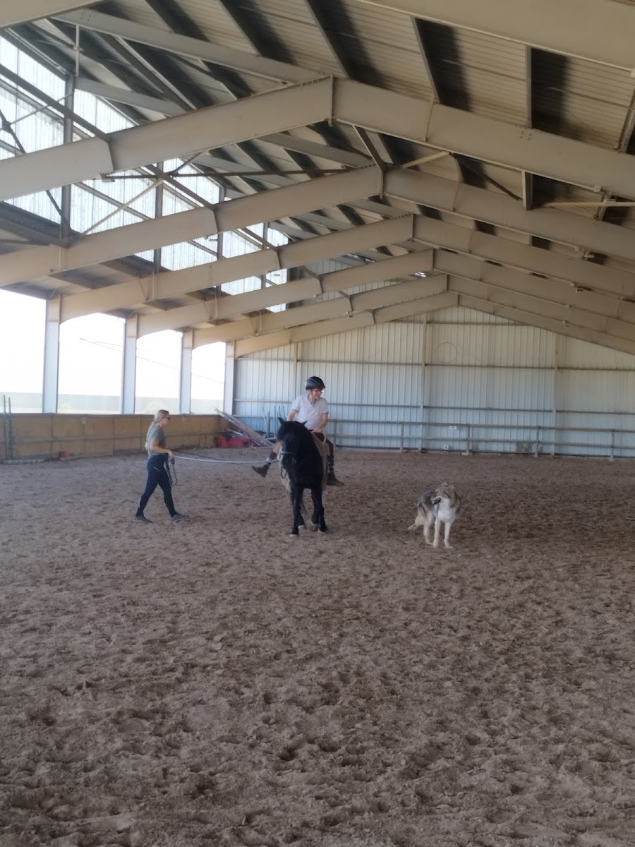 Photo de CENTRE EQUESTRE DE CABREROLLES