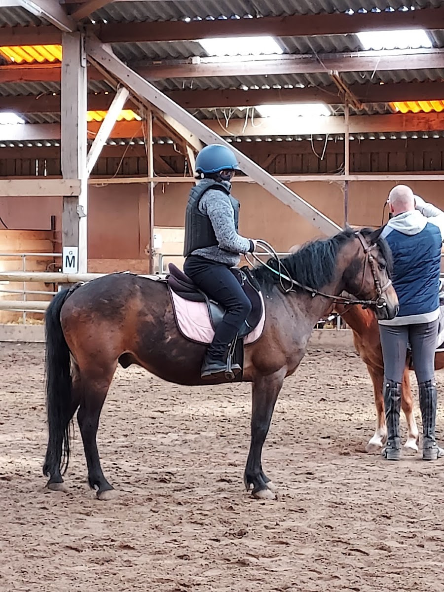 Photo de CENTRE EQUESTRE DE DROCOURT