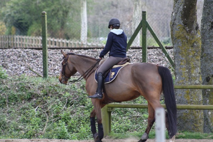 Photo de CENTRE EQUESTRE DE FLERS