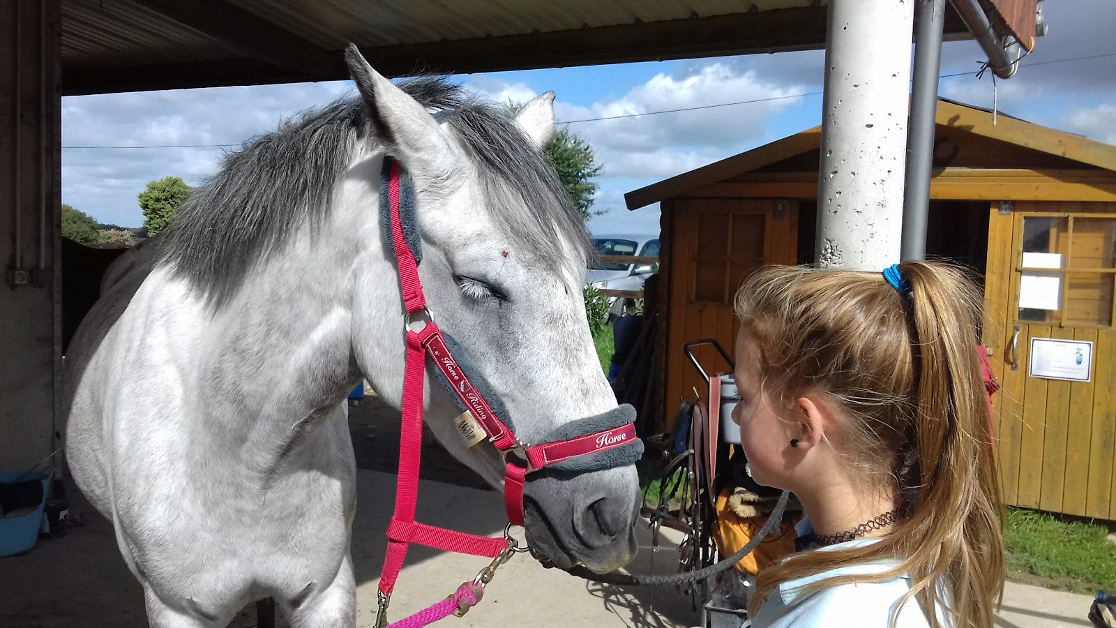 Photo de CENTRE EQUESTRE DE FONTAY