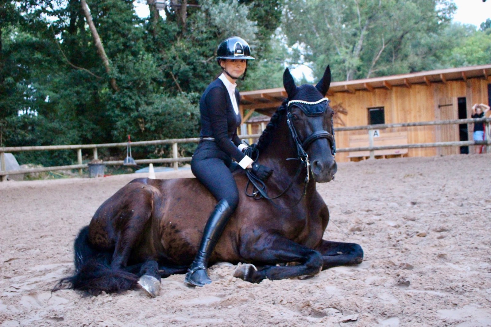 Photo de CENTRE EQUESTRE DE GRIGNAN