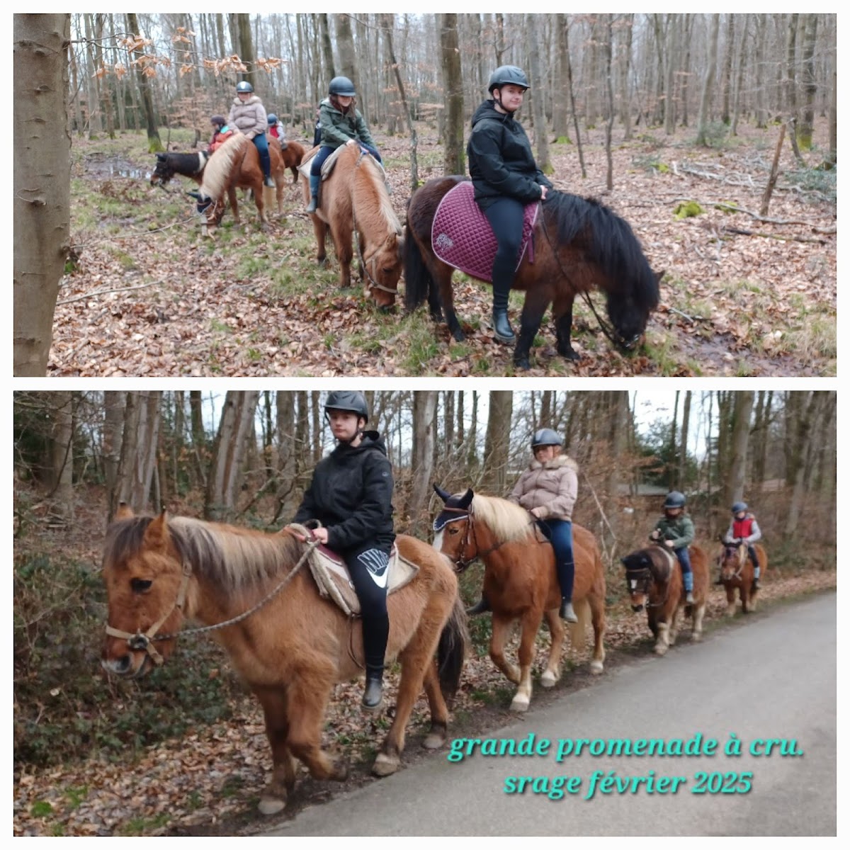 Photo de CENTRE EQUESTRE DE L ORIVAL