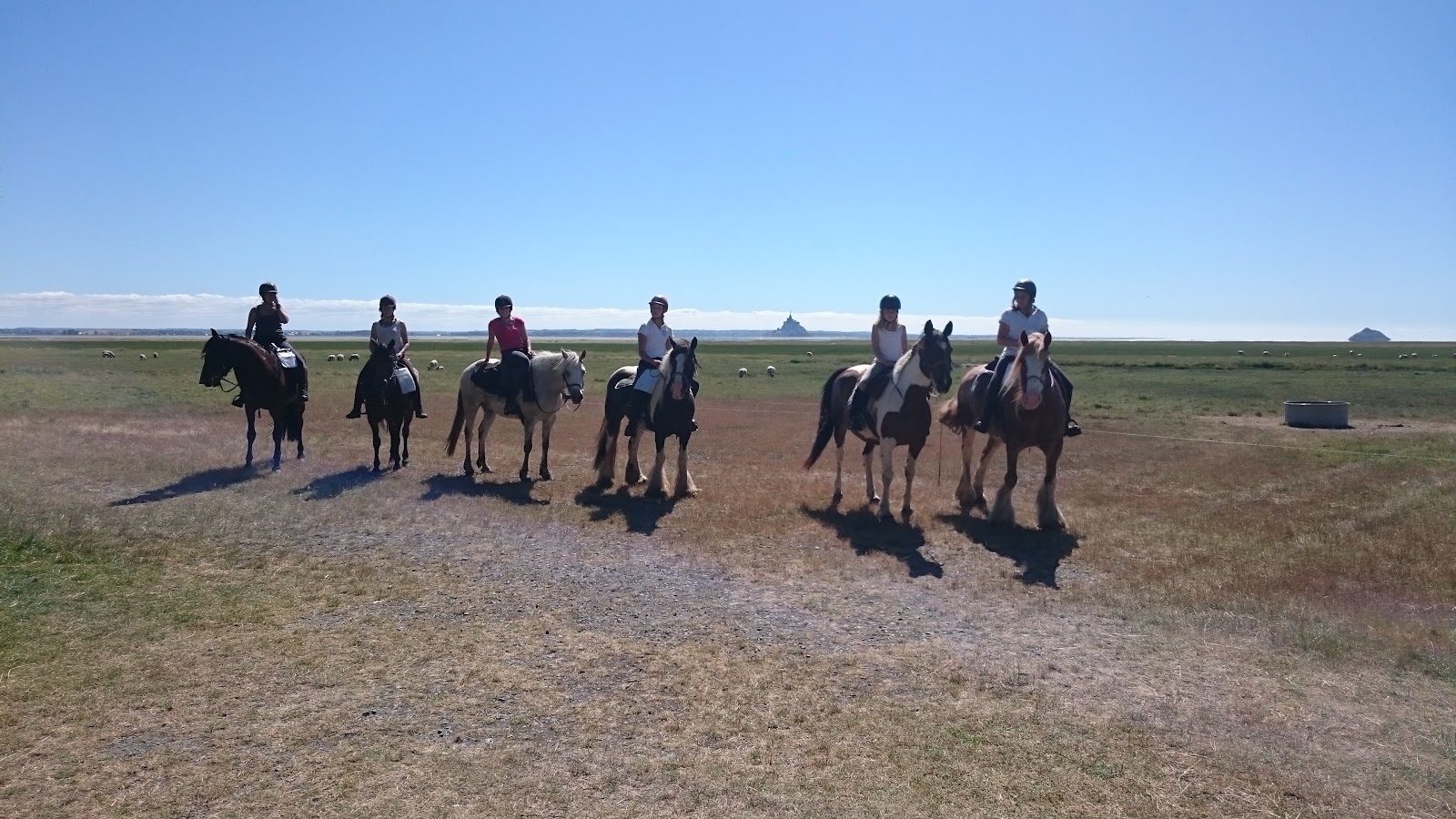 CENTRE EQUESTRE DE LA LYS