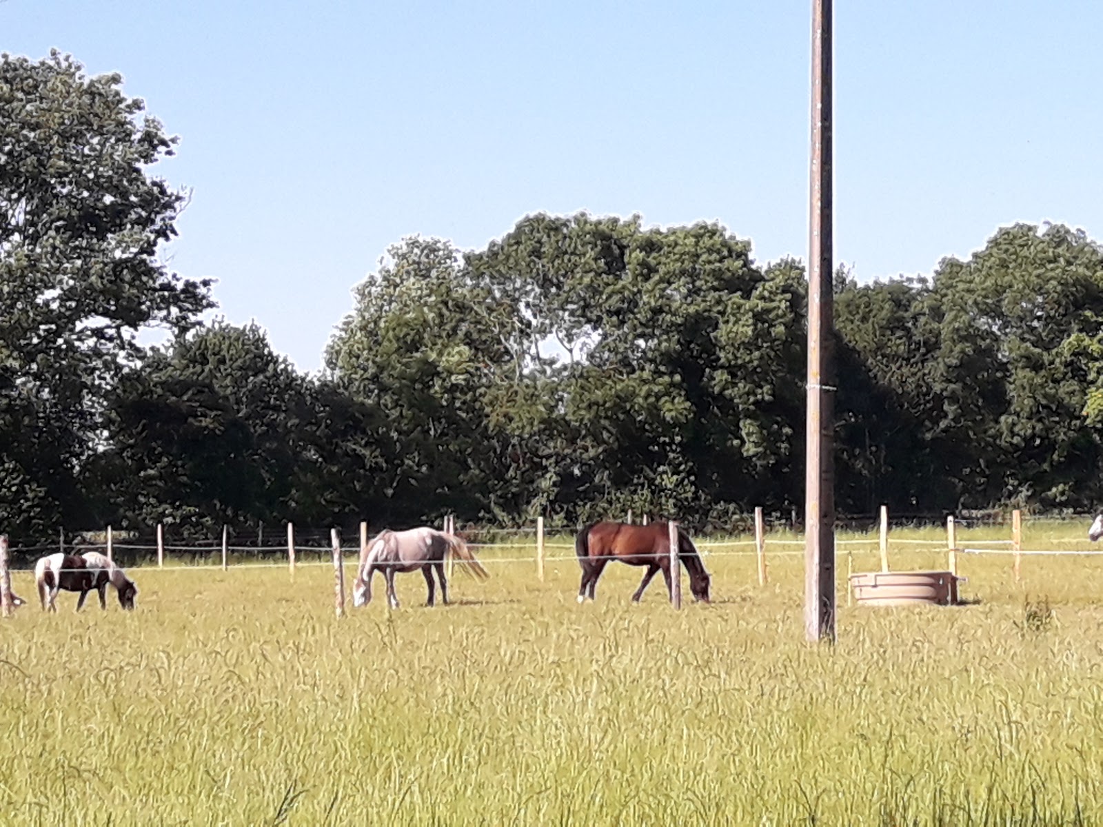 Photo de CENTRE EQUESTRE DE LA POMMERAYE