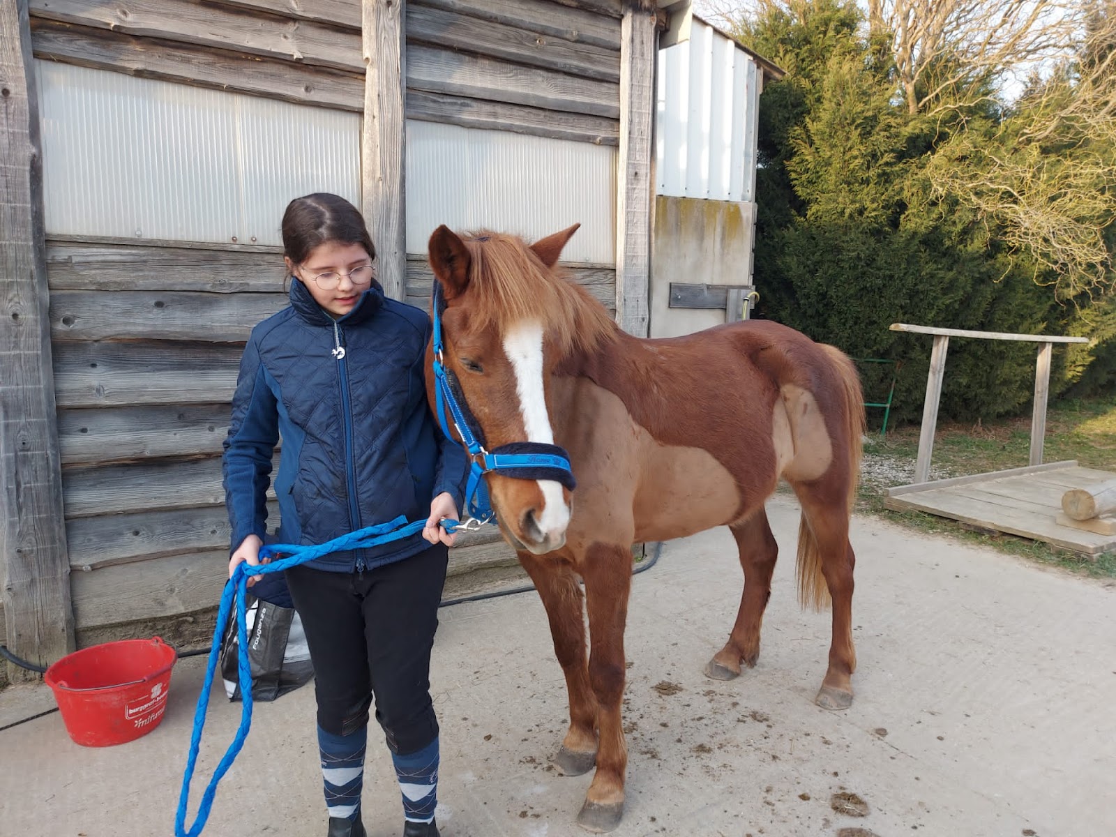 Photo de CENTRE EQUESTRE DE LA ZORN
