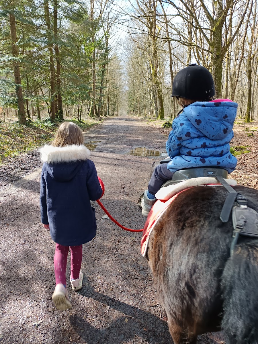 Photo de CENTRE EQUESTRE DE LAVAL