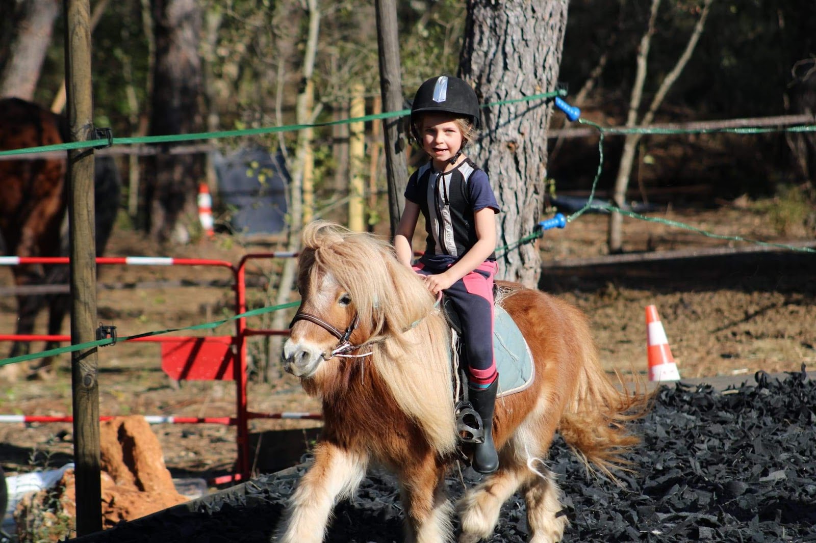 Photo de CENTRE EQUESTRE DE LIECABRE