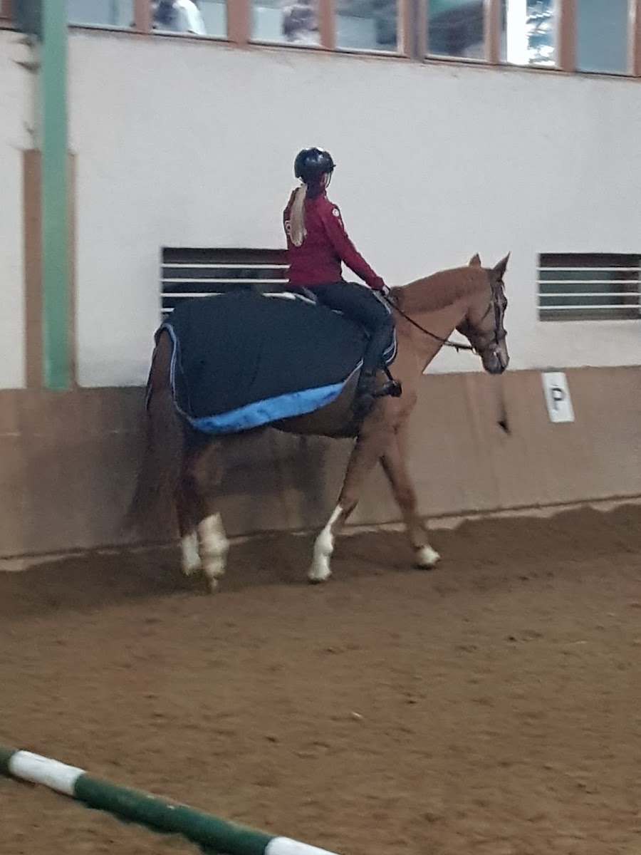 Photo de CENTRE EQUESTRE DE MAIRY