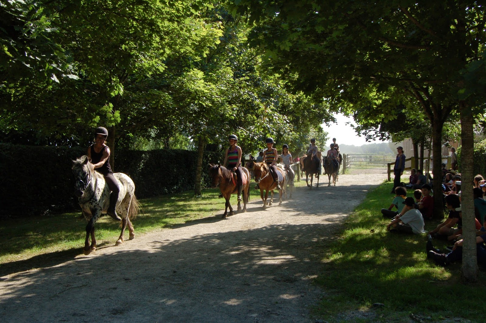 Photo de CENTRE EQUESTRE DE MONTMIREL