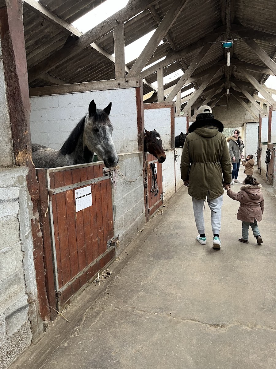 Photo de CENTRE EQUESTRE DE NANTES LA GOURMETTE