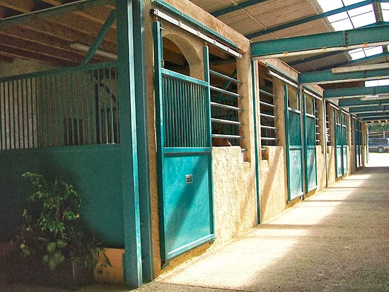 Photo de CENTRE EQUESTRE DE ST JUST
