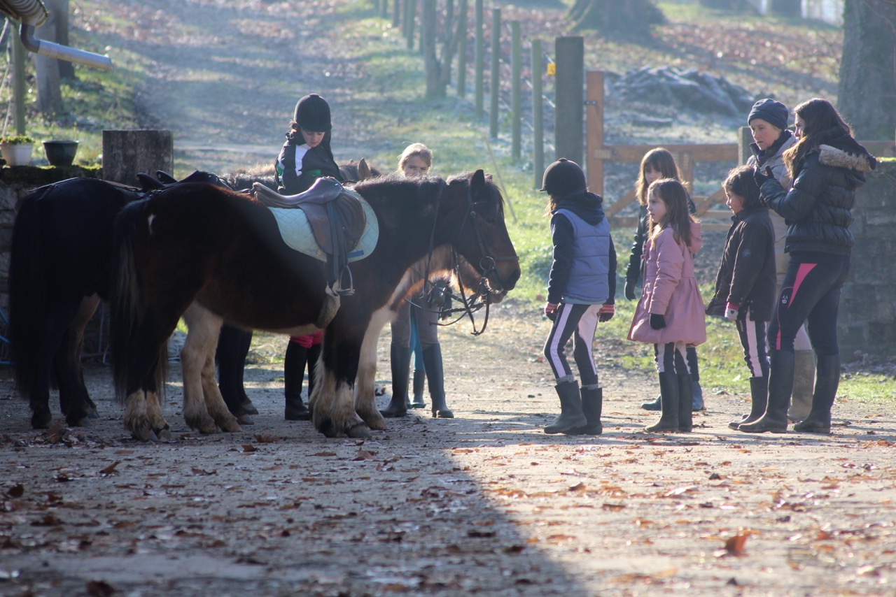 Photo de CENTRE EQUESTRE DE ST PALAIS